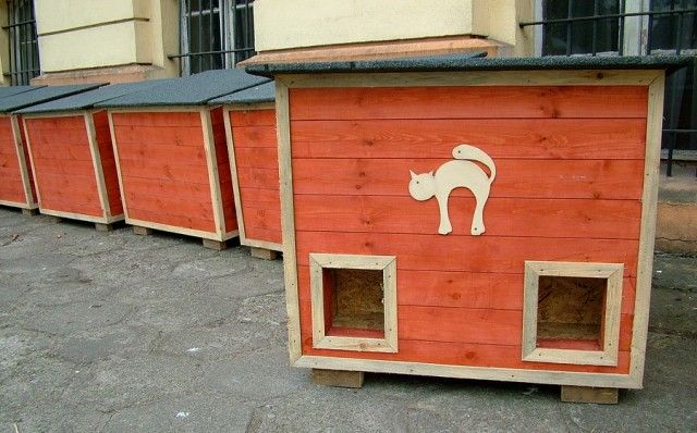 Zobacz: Domki dla kotów