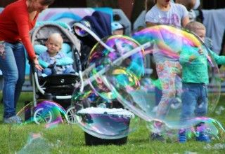 Bubble Day 2019